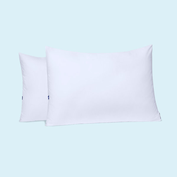 Casper Sleep Essential Pillow, Standard, Two Pack & Reviews | Wayfair
